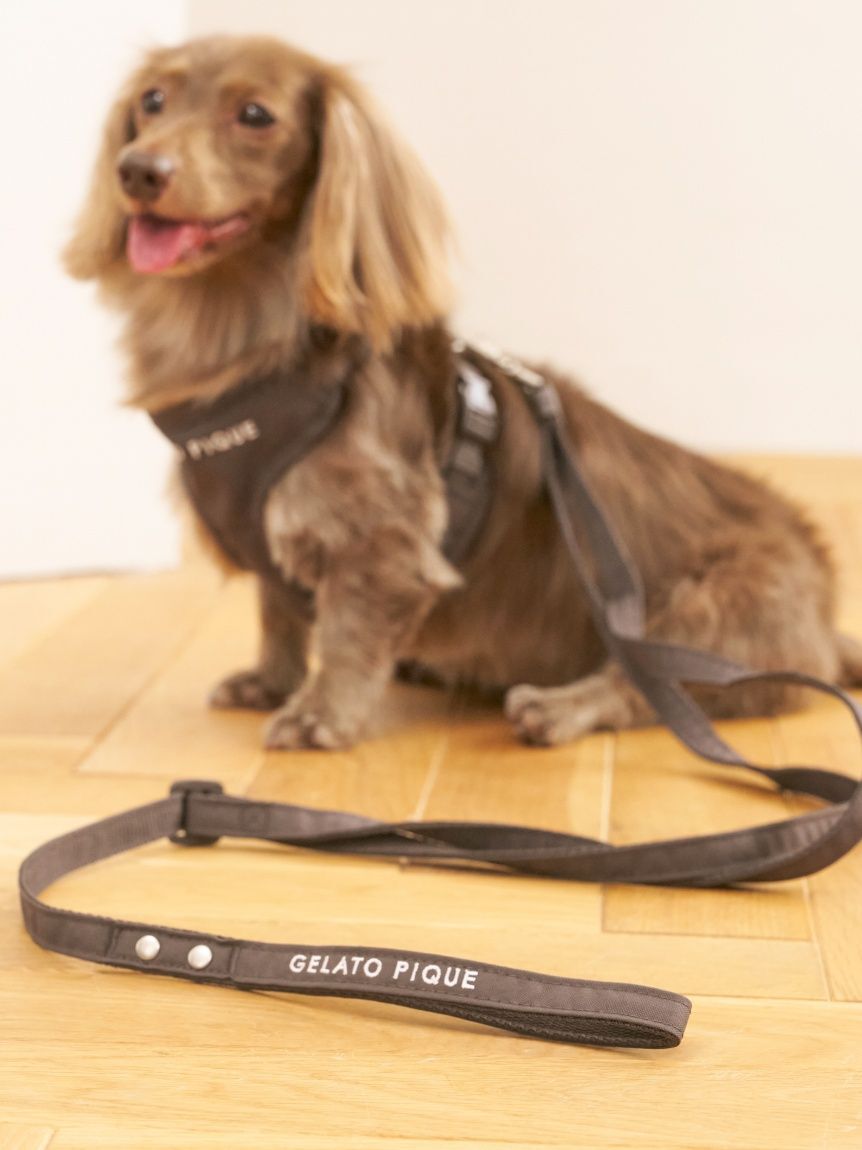  GELATO PIQUE CAT&DOG「【CAT&DOG】背中あきハーネス」|その他|