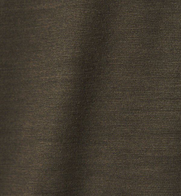 STEVEN ALAN「＜Steven Alan＞ メリノウール クルーネック ショートスリーブ Tシャツ」|Tシャツ・カットソー|