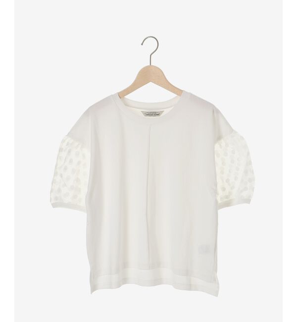 le.coeur blanc「《手洗い可能》TORRAZZO DONNAドット切替カットソー」|Tシャツ・カットソー|