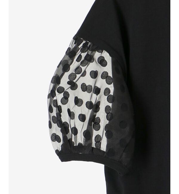 le.coeur blanc「《手洗い可能》TORRAZZO DONNAドット切替カットソー」|Tシャツ・カットソー|