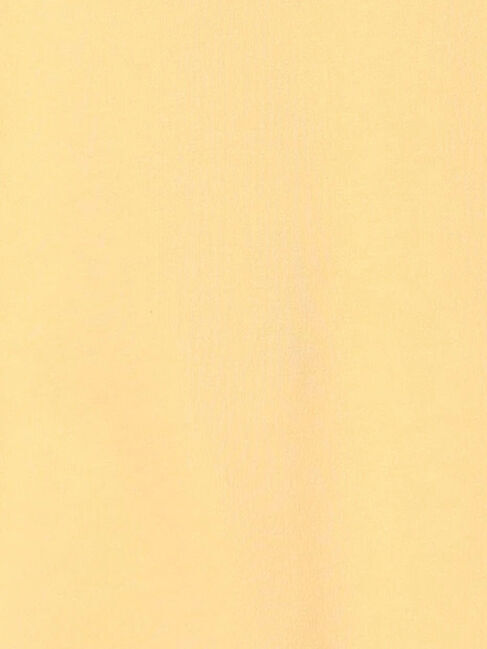 Samansa Mos2 Lagom「【きかんしゃトーマス】プリントトレーナー」|Tシャツ・カットソー|