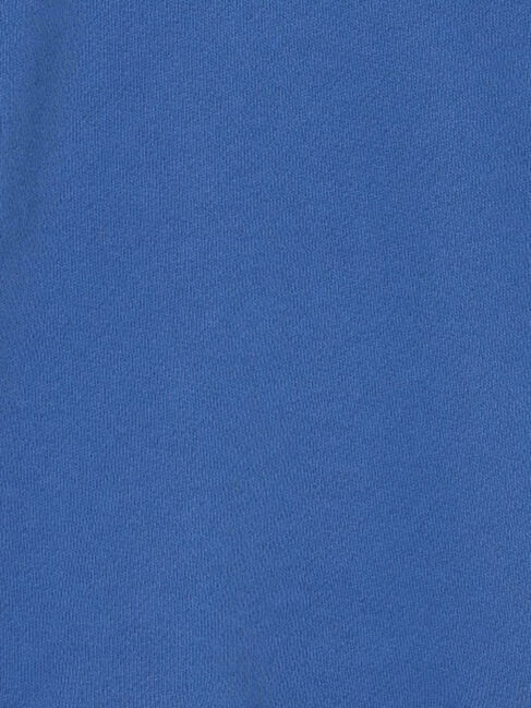 Samansa Mos2 Lagom「【FRUIT OF THE LOOM】ビッグバード トレーナー」|Tシャツ・カットソー|