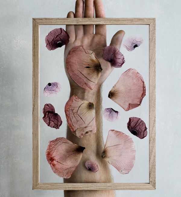 Style for Living「＜MOEBE＞FRAME A4 オーク」|その他|