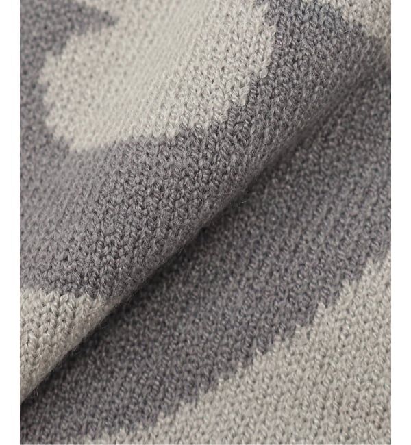 PULP「SAN SAN GEAR / サンサンギア LOGO BEANIE」|ニット帽|