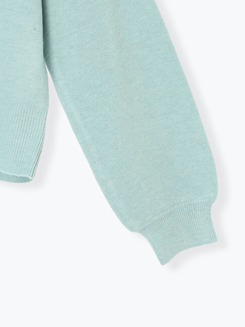 Te chichi TERRASSE「もちもちミラノリブクロップドクルーネックニット」|ニット・セーター|