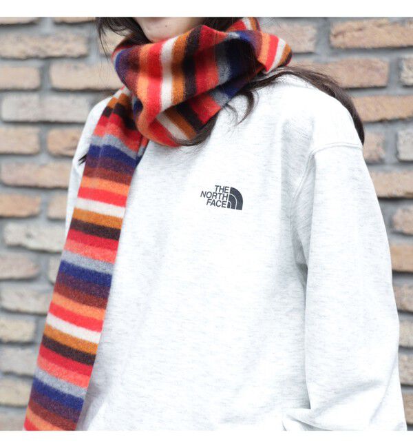 BEAMSBOY「THE NORTH FACE / グラフィック スウェット」|スウェット・ジャージ|