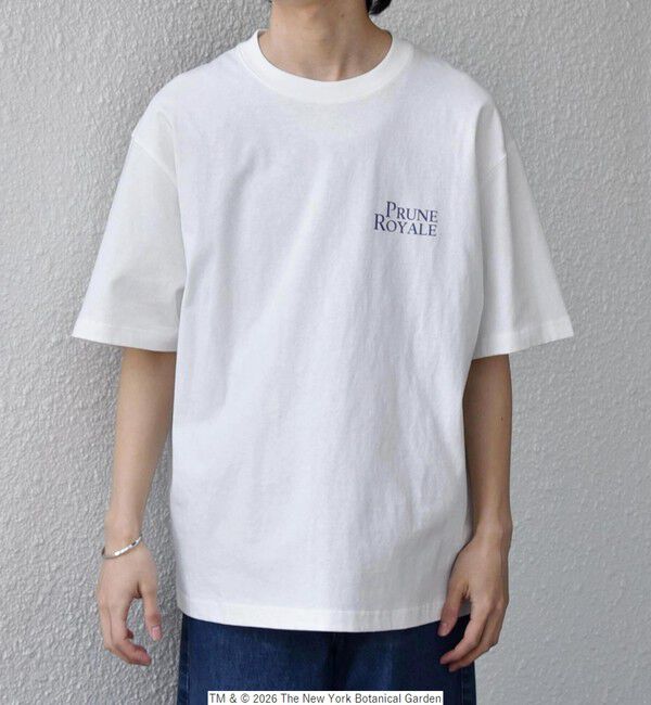 SHIPS any「【SHIPS any別注】NYBG: ボタニカル プリント リラックス Tシャツ◆」|Tシャツ・カットソー|