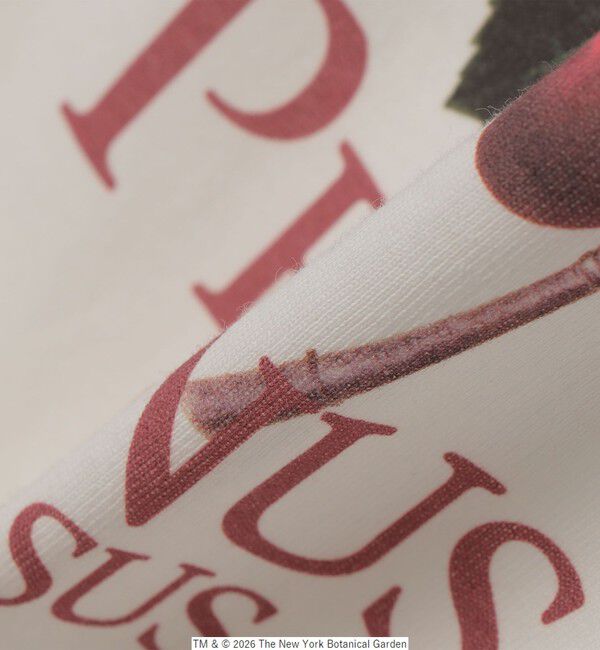 SHIPS any「【SHIPS any別注】NYBG: ボタニカル プリント リラックス Tシャツ◆」|Tシャツ・カットソー|