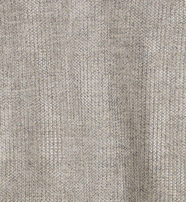 BACCA「【WEB先行予約】オーロラフィルム リネンハーフスリーブニット」|ニット・セーター|