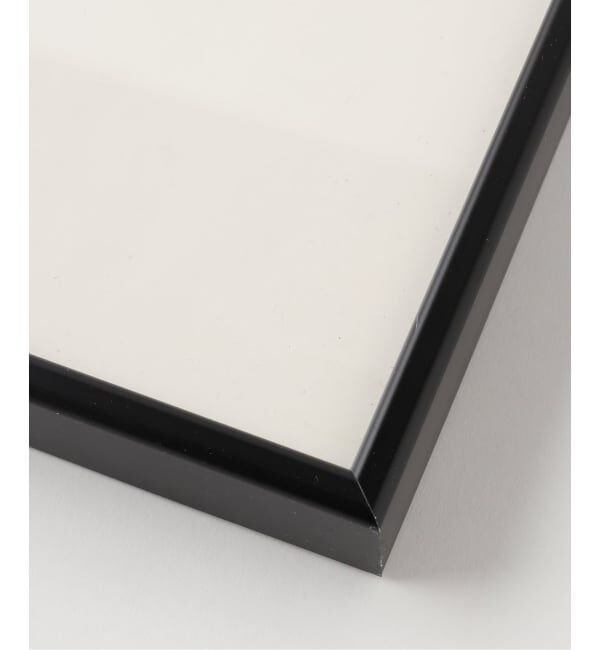 journal standard Furniture「4 POSTER JASPER JOHNS　アートフレーム」|その他|