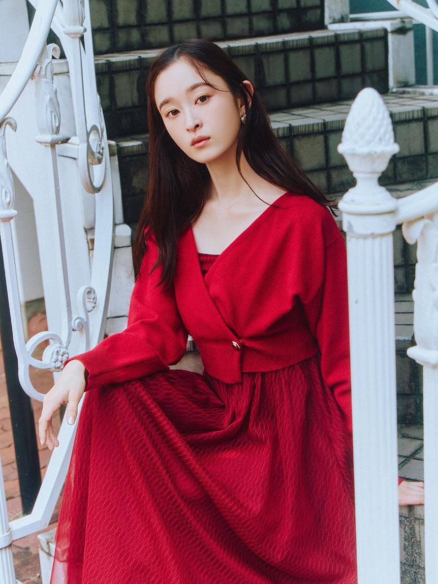 LILY BROWN「カーデセットチュールワンピース」|ワンピース|