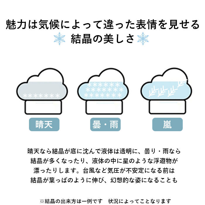 BACKYARD FAMILY「ストームグラス 雑貨 通販 キャラクター スヌーピー グッズ リラックマ 大人 向け クラウド 雲」|その他|