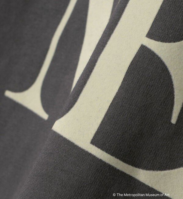 SHIPS Colors 「SHIPS Colors:The Met コラボ フロッキー ロゴ Tシャツ 2」|Tシャツ・カットソー|