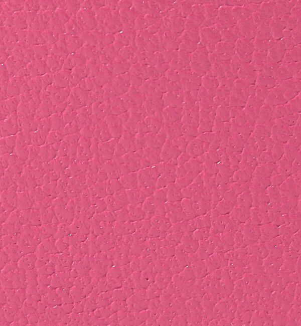 TOMORROWLAND GOODS「Atelier TOMORROWLAND TRINCKET マルチケース」|その他|