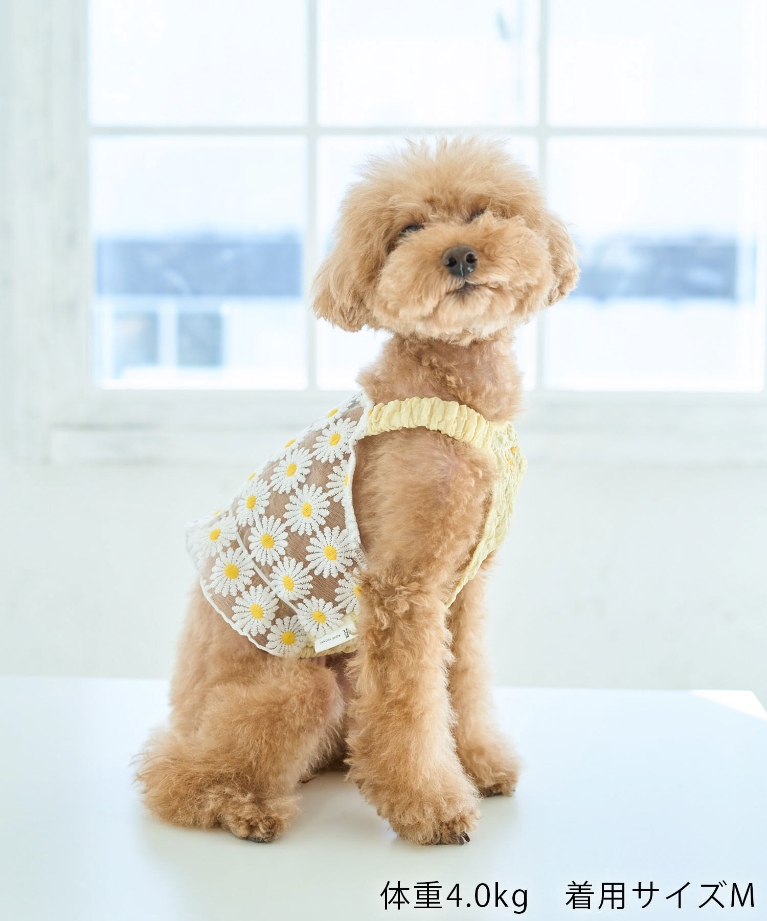 ROPE PICNIC PASSAGE「【DOG】フラワーキャミソール」|その他|