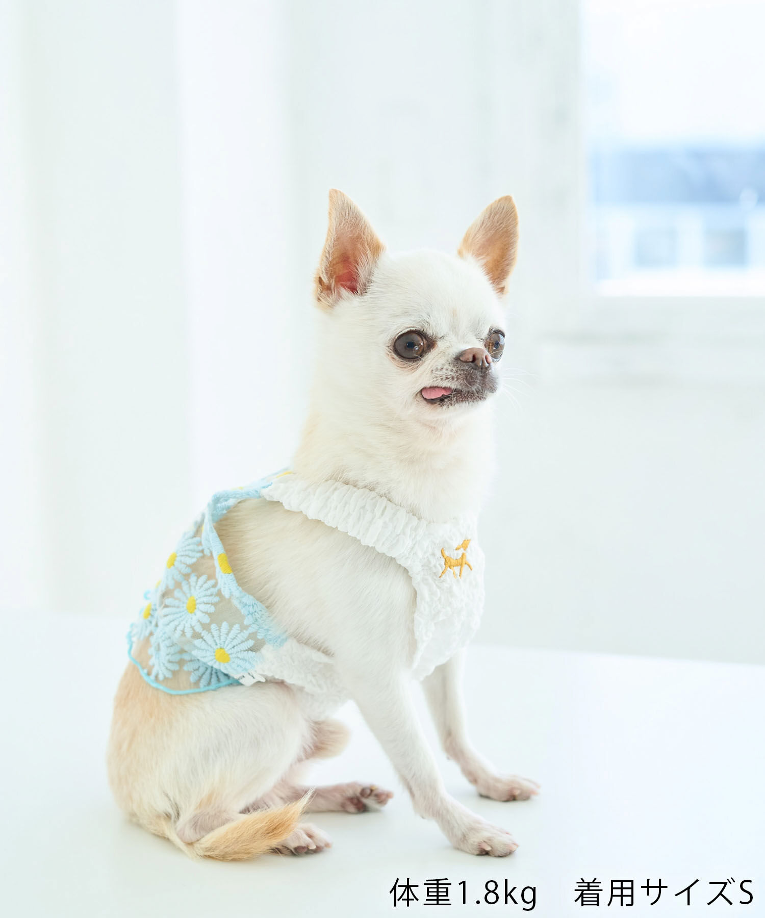 ROPE PICNIC PASSAGE「【DOG】フラワーキャミソール」|その他|