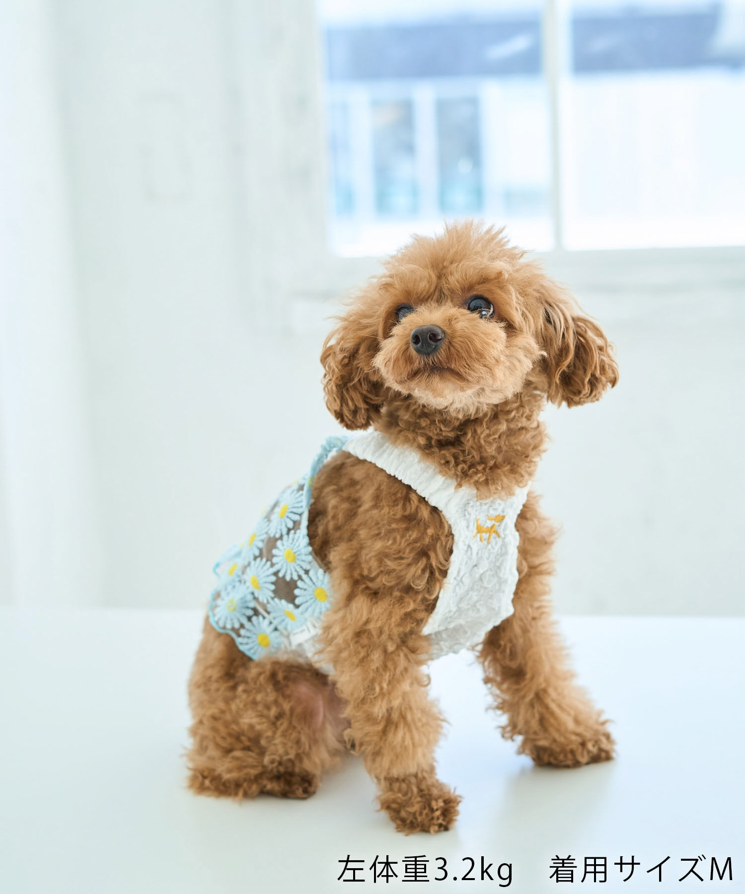 ROPE PICNIC PASSAGE「【DOG】フラワーキャミソール」|その他|