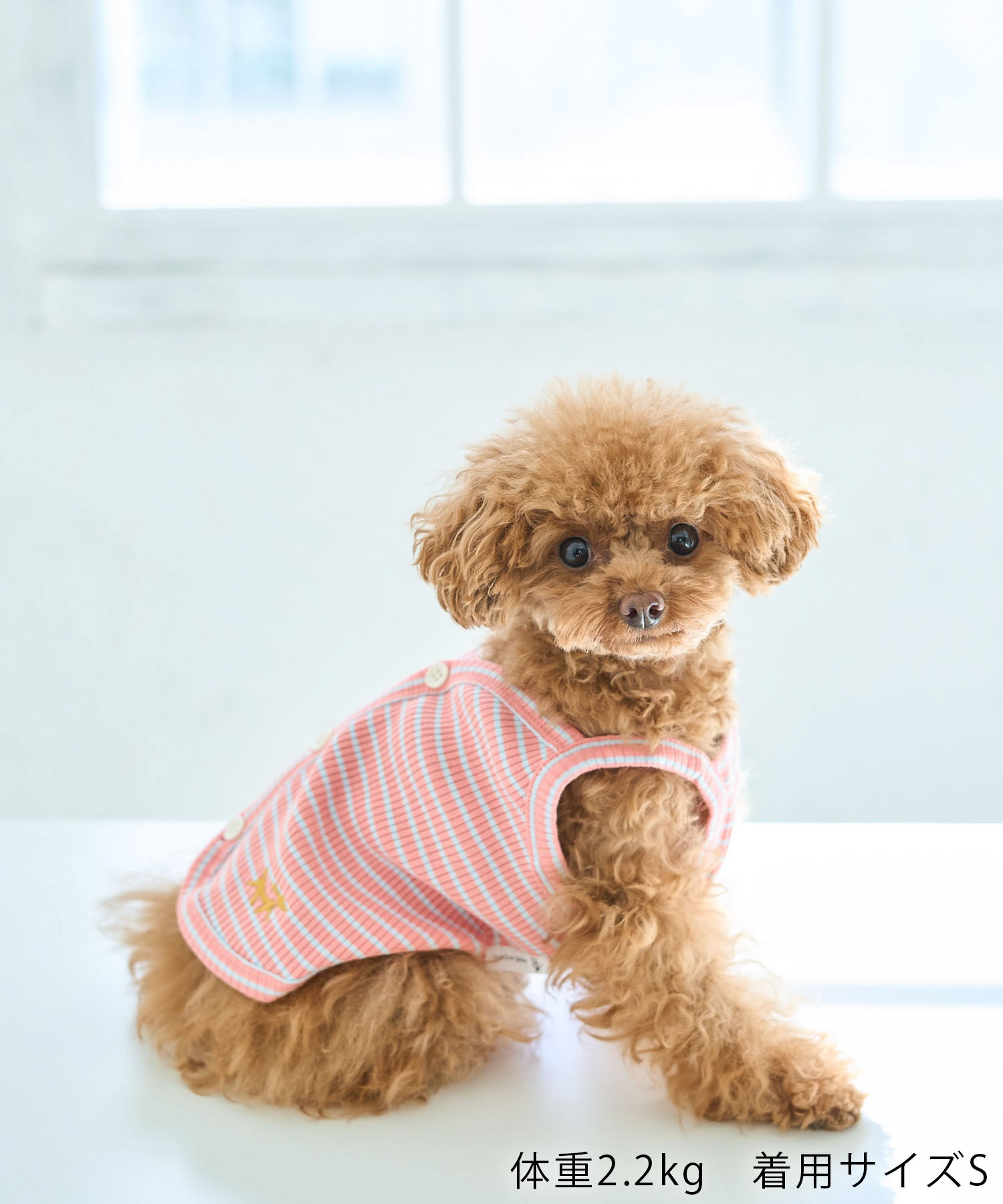 ROPE PICNIC PASSAGE「【DOG】マルチボーダーキャミソール」|その他|