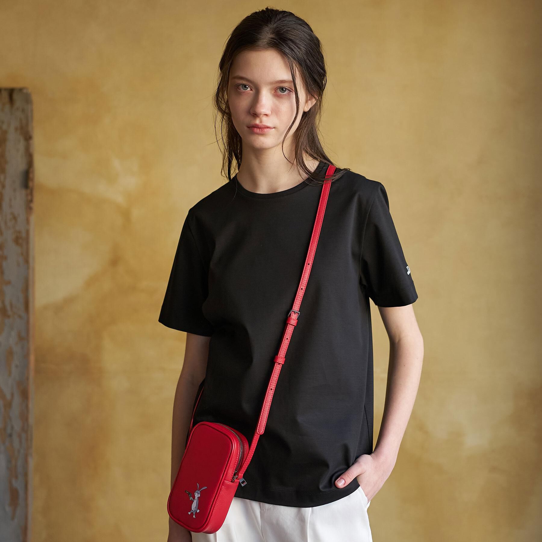 DRESSTERIOR「【接触冷感／抗菌防臭／消臭】アイスクリアコットンTシャツ」|Tシャツ・カットソー|ブラック(019)