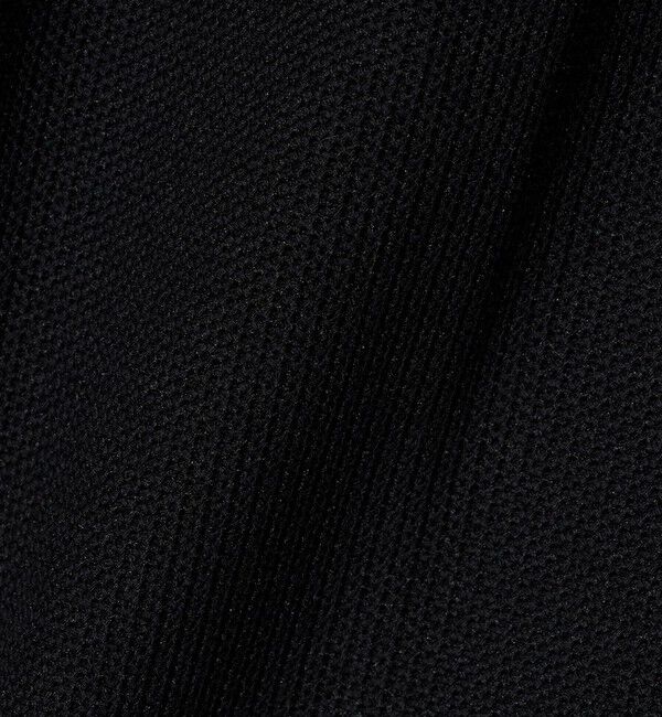 BEAUTY&YOUTH UNITED ARROWS「＜LACOSTE for BEAUTY&YOUTH＞ワントーン ショートパンツ」|その他|