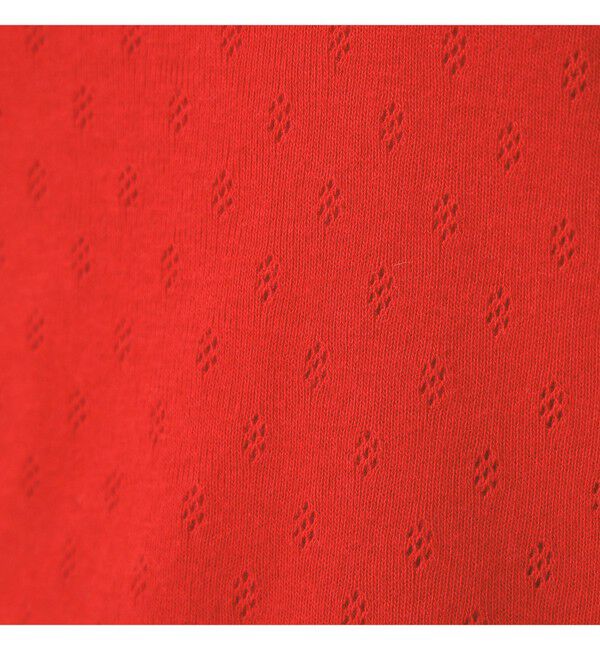 Ray BEAMS 「ORCIVAL / パターン メッシュ クルーネック Tシャツ」|Tシャツ・カットソー|