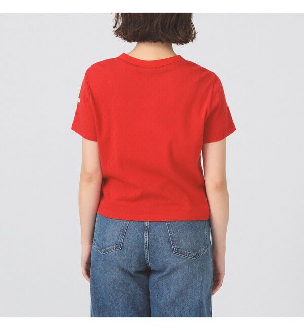 Ray BEAMS 「ORCIVAL / パターン メッシュ クルーネック Tシャツ」|Tシャツ・カットソー|