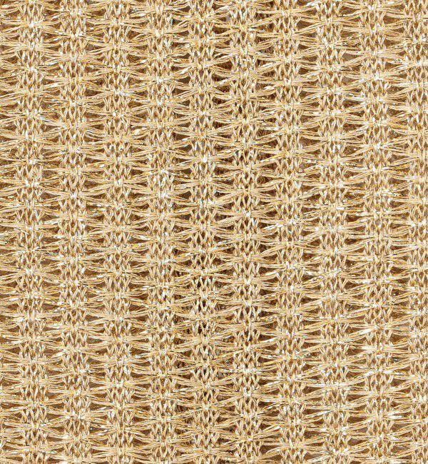 BACCA「【一部WEB先行予約】オーロラフィルム リネンベスト」|ニット・セーター|