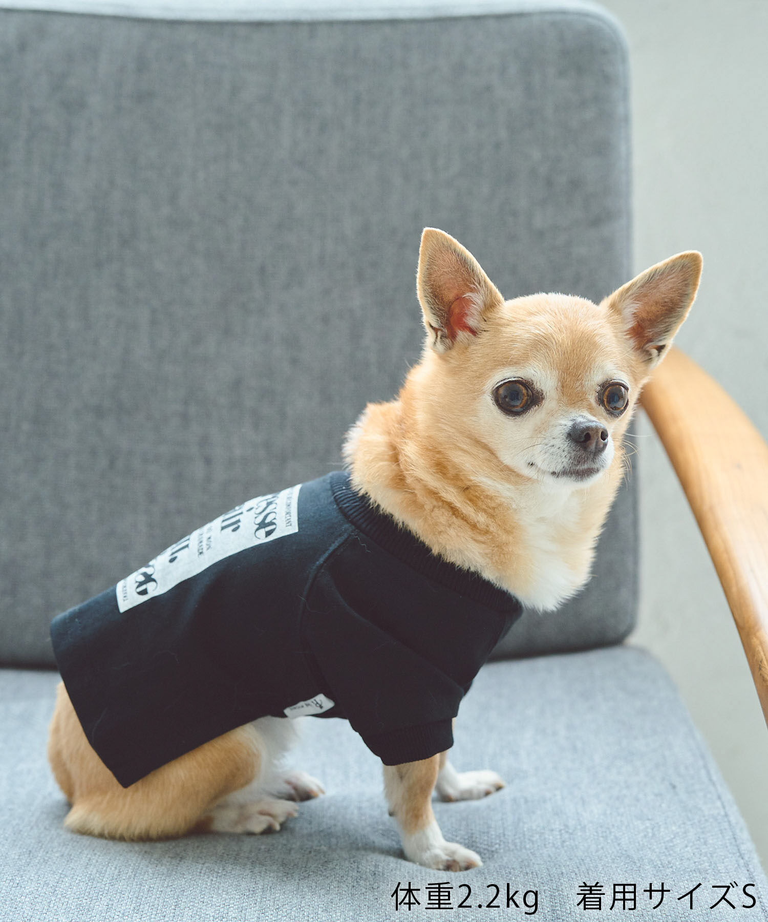 ROPE PICNIC PASSAGE「【DOG】ロゴTシャツ/リンクコーデ」|その他|