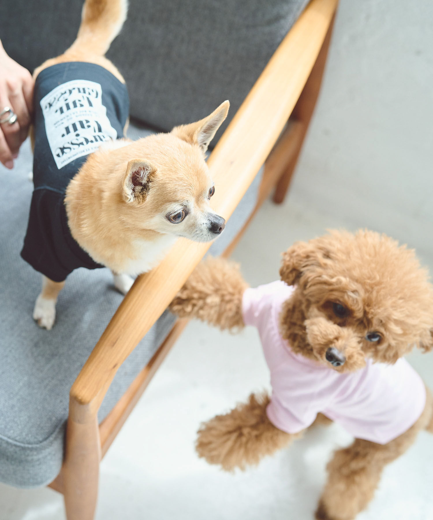 ROPE PICNIC PASSAGE「【DOG】ロゴTシャツ/リンクコーデ」|その他|
