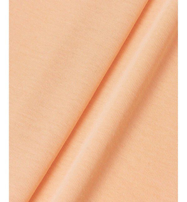 allureville「シアーフライスロングスリープルオーバー」|Tシャツ・カットソー|