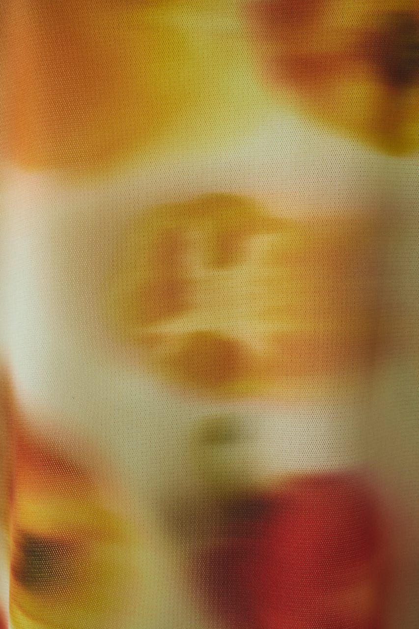 HeRIN.CYE「［予約］Paprika pattern tops」|Tシャツ・カットソー|