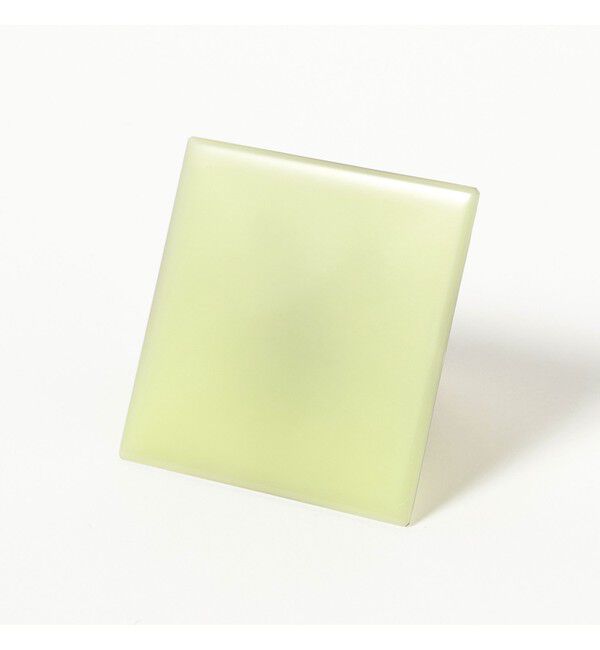 BEAMS「REAL BUG / Pyramid Tarantula」|その他|