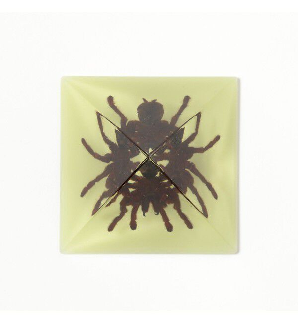 BEAMS「REAL BUG / Pyramid Tarantula」|その他|