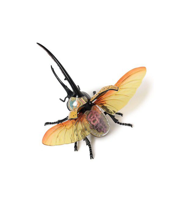 BEAMS「4D MASTER / INSECT ANATOMY」|その他|Hercules_Beetle