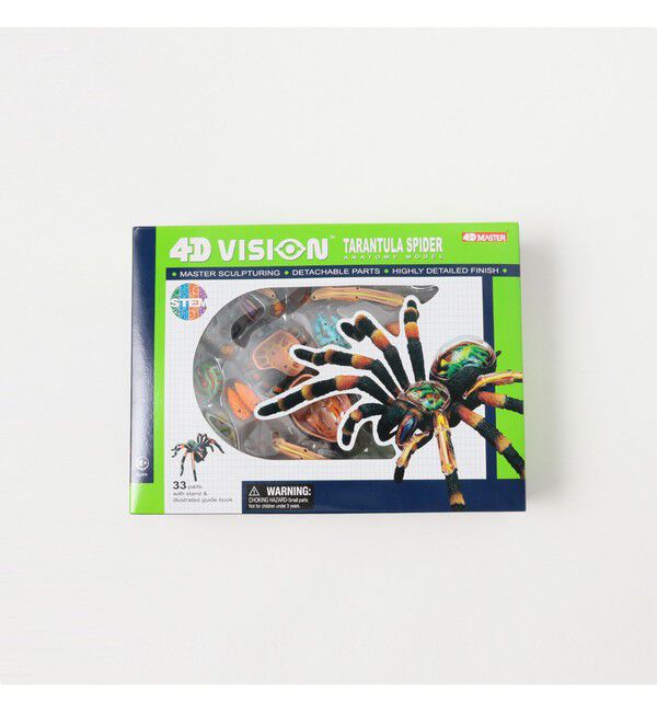 BEAMS「4D MASTER / INSECT ANATOMY」|その他|