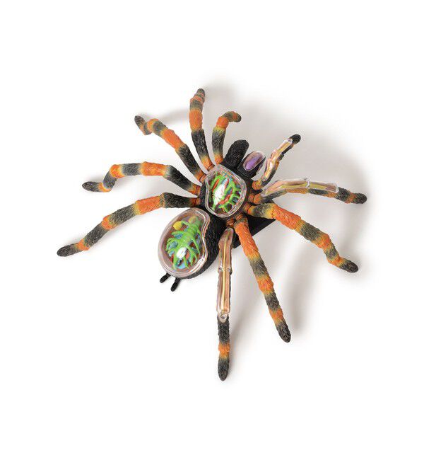 BEAMS「4D MASTER / INSECT ANATOMY」|その他|