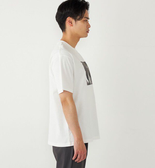 SHIPS Colors 「SHIPS Colors:フォト プリント Tシャツ」|Tシャツ・カットソー|