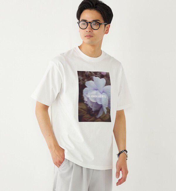 SHIPS Colors 「SHIPS Colors:フォト プリント Tシャツ」|Tシャツ・カットソー|