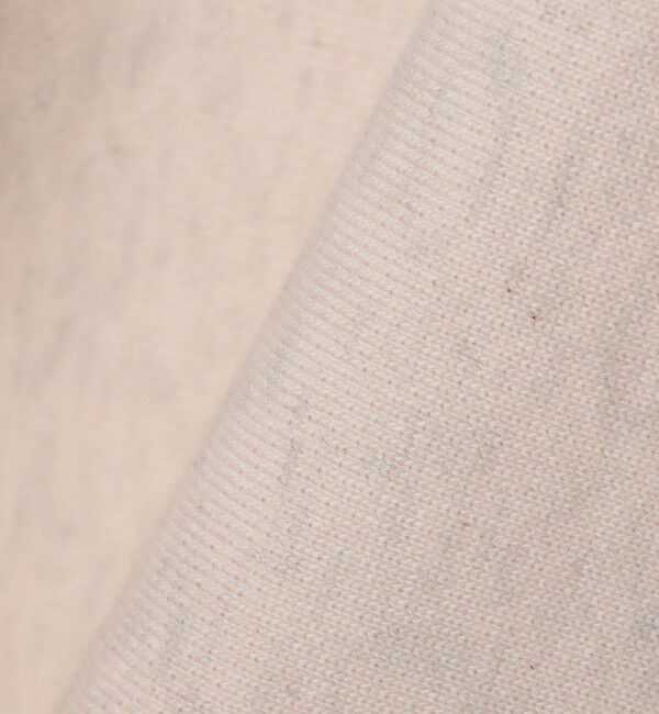 SHIPS「【SHIPS別注】Champion: リバースウィーブ スウェット スタンド ジップ カーディガン」|スウェット・ジャージ|