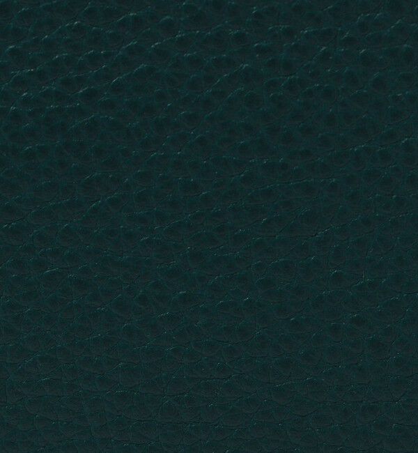 TOMORROWLAND GOODS「TOMORROWLAND シュリンクレザー ミニショルダーバッグ」|ショルダー・メッセンジャー|