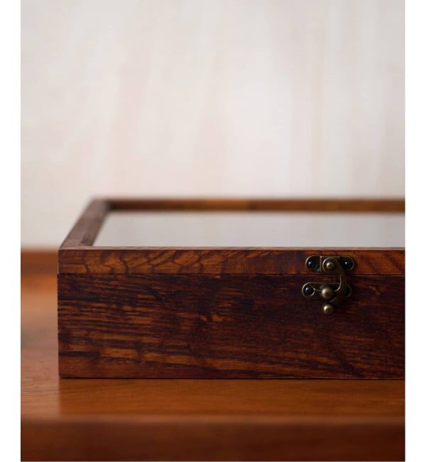 ACME「SHOW CASE L　ショーケース」|その他|