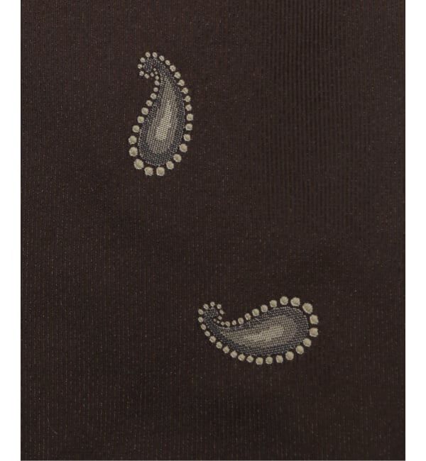 EDIFICE「AX Classico Seta ペイズリータイ」|ネクタイ・蝶ネクタイ|