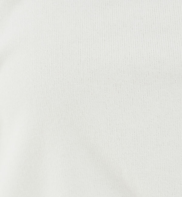 abahouse mavie「スパークナイロンクルーネックプルオーバー」|Tシャツ・カットソー|