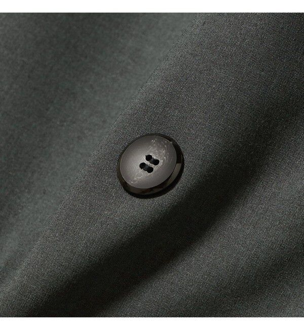 Demi-Luxe BEAMS 「トロピカル 2ボタン ジレ」|ダウン|