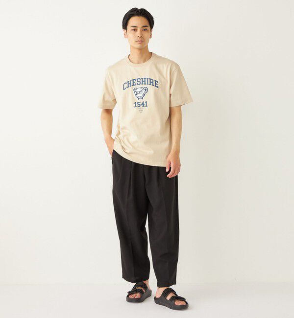 SHIPS Colors 「SHIPS Colors:TeddyBear(R) プリント & ステッチ TEE◇」|Tシャツ・カットソー|