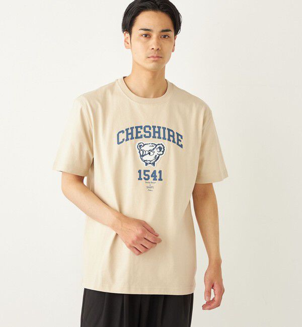 SHIPS Colors 「SHIPS Colors:TeddyBear(R) プリント & ステッチ TEE◇」|Tシャツ・カットソー|
