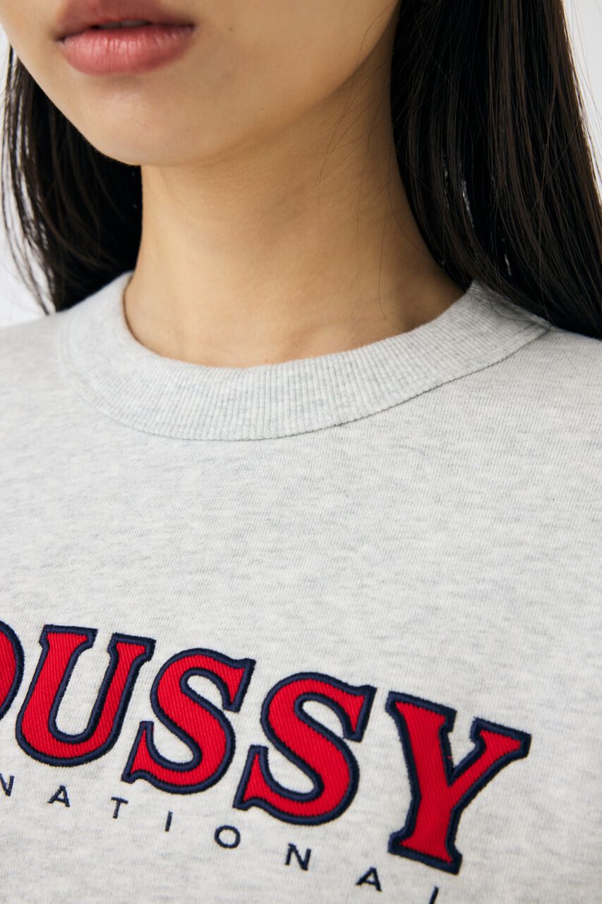 MOUSSY「MOUSSY TWILL アップリケ プルオーバー」|パーカー|