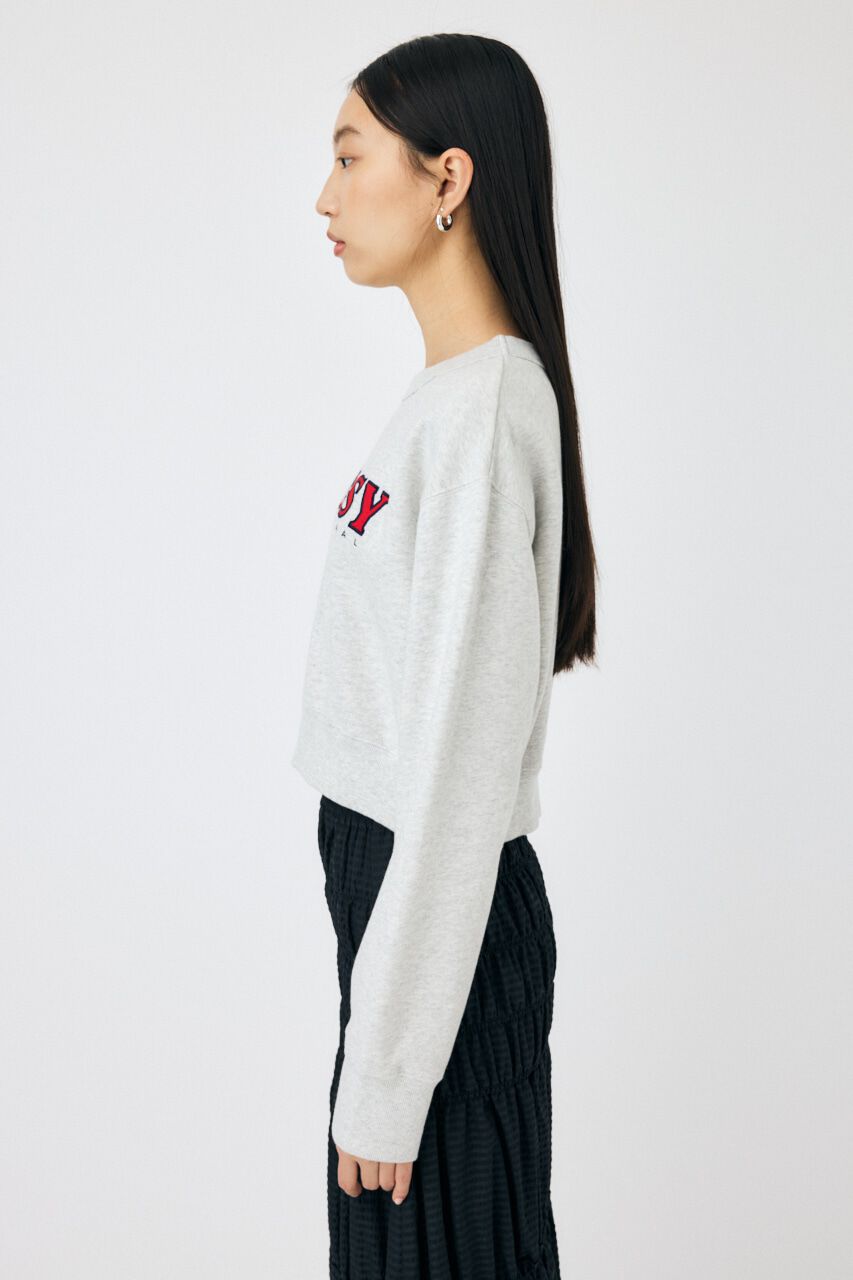 MOUSSY「MOUSSY TWILL アップリケ プルオーバー」|パーカー|