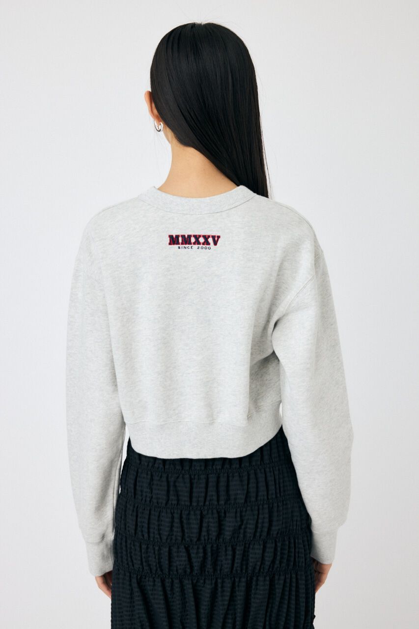 MOUSSY「MOUSSY TWILL アップリケ プルオーバー」|パーカー|