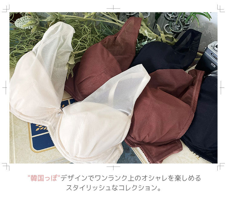 intesucre「アンテシュクレ らくしてキレイ ふわさらType ブラセット B-E/60-75 IBT376S」|インナー|